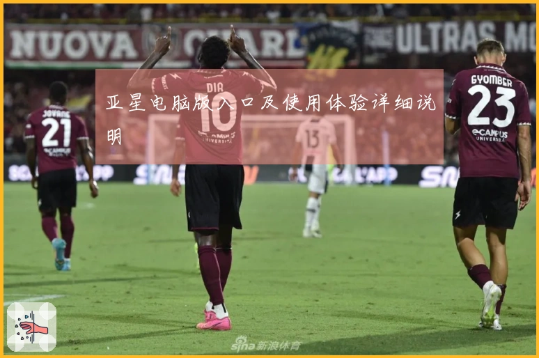 亚星电脑版入口及使用体验详细说明